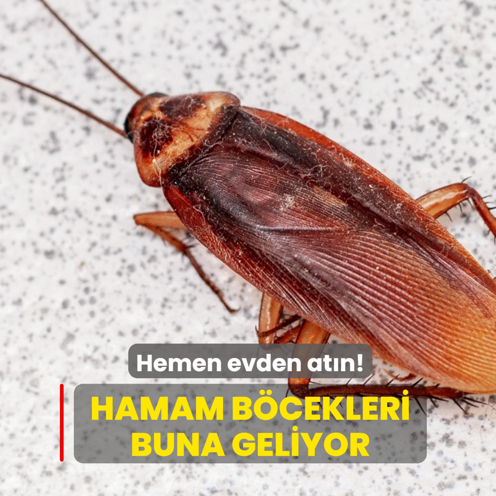Hamam b�ceklerinden kurtulman�n yolu! O ha�ereler buna geliyor, hemen evden at�n...