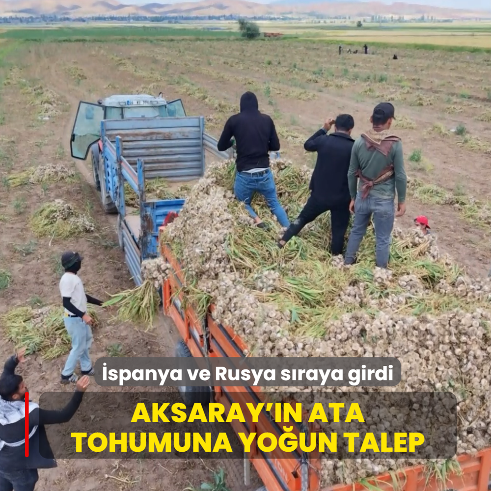 �spanya ve Rusya s�raya girdi... Aksaray'�n  do�al antibiyoti�i  d�nyay� sard�