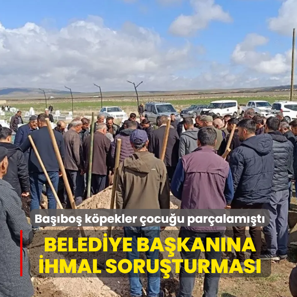Ba��bo� k�pekler �ocu�u par�alam��t�... Belediye Ba�kan�na ihmal soru�turmas�