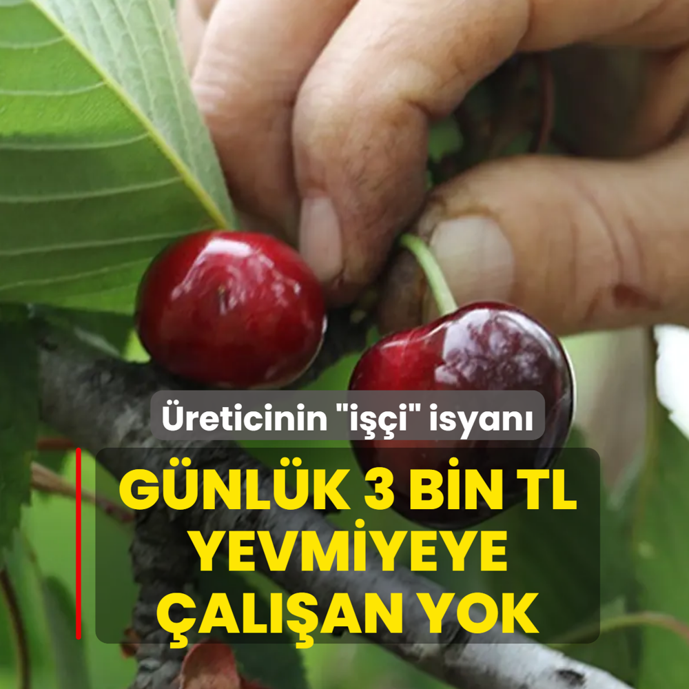 �reticinin �i��i� isyan�! G�nl�k 3 bin TL yevmiyeye �al��an yok