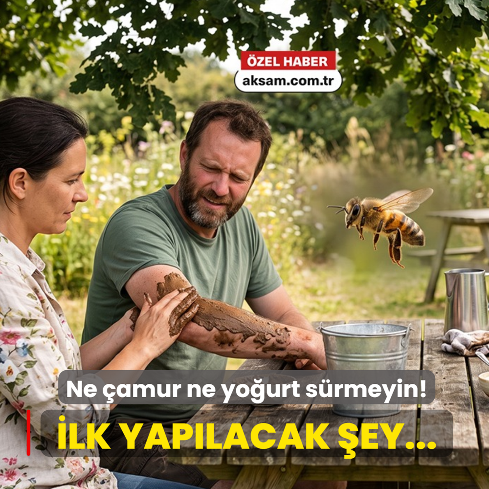 Ar� sokmas�nda ne �amur ne yo�urt s�rmeyin! Uzman� a��klad�: �lk yap�lacak �ey i�neyi ��karmak