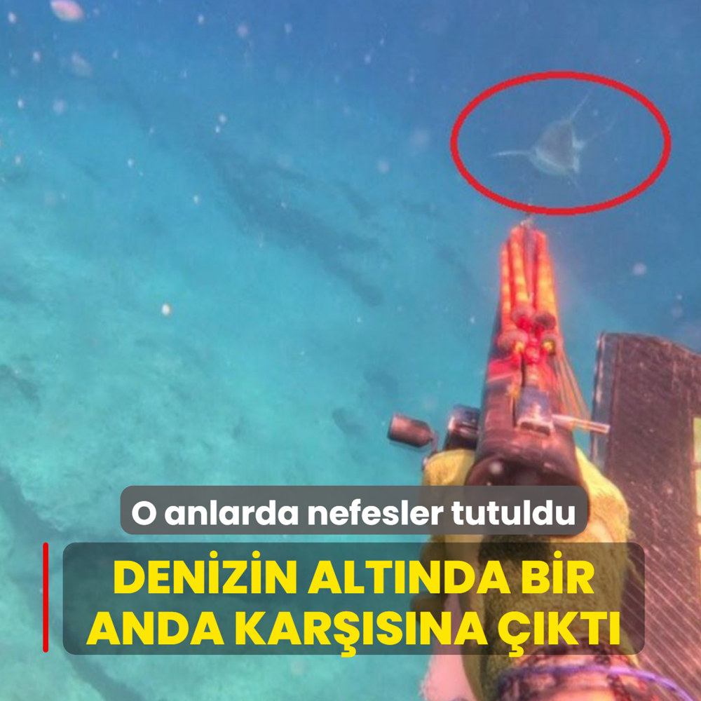 Denizin alt�nda bir anda kar��s�na ��kt�! O anlarda nefesler tutuldu