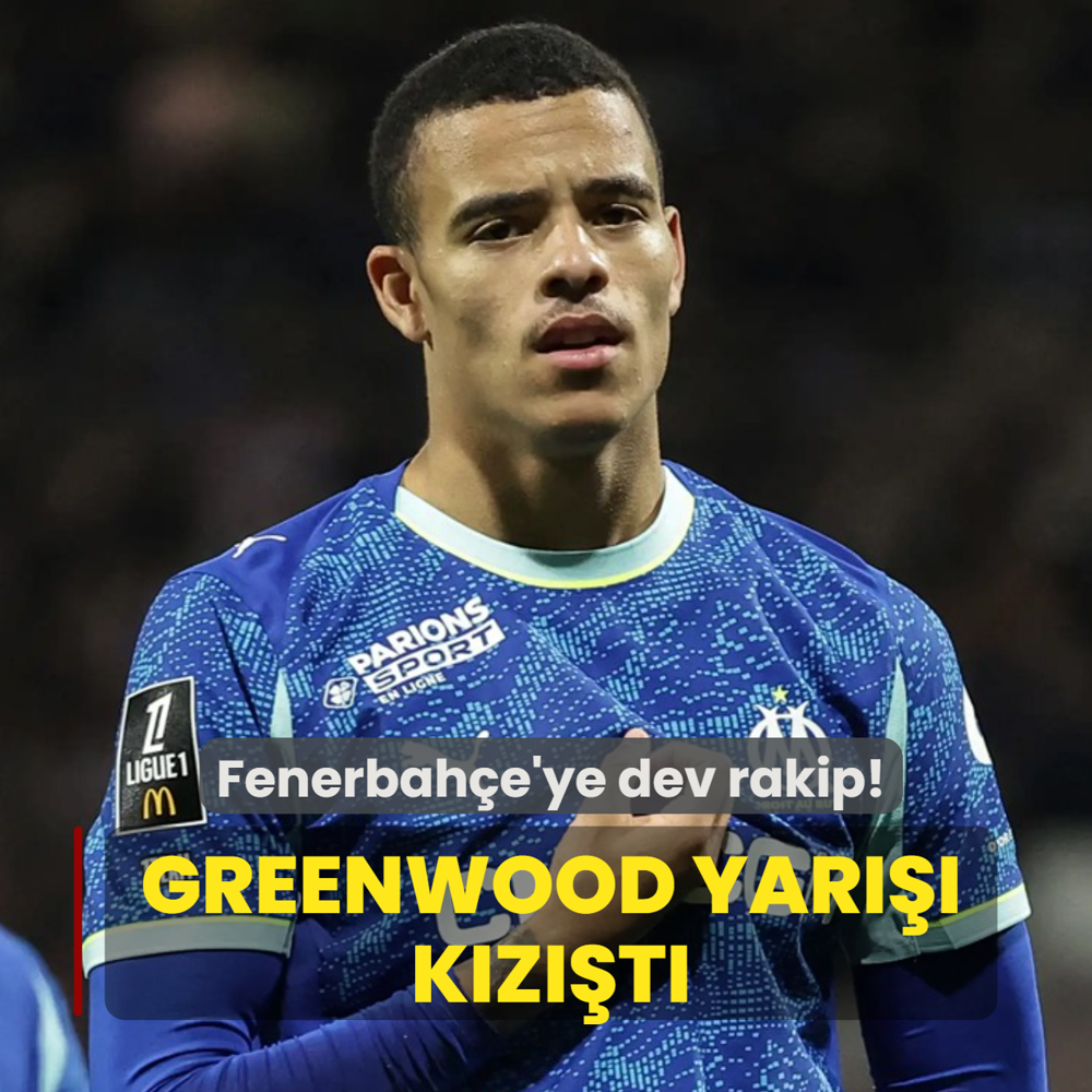 Greenwood yar��� k�z��t�