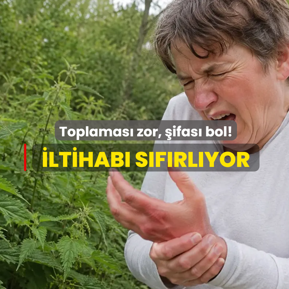 Hem can yak�yor hem iltihab� s�f�rl�yor: �ster yeme�ini ister salatas�n� yap�n