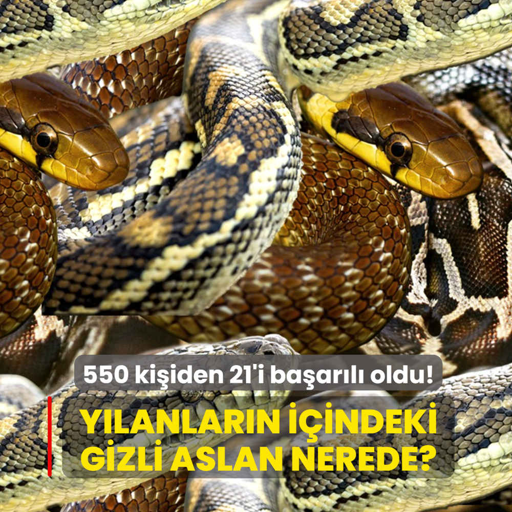 Zeka testi: Y�lanlar�n i�indeki aslan nerede? 550 ki�iden 21'i 7 saniyede ba�ar�l� oldu
