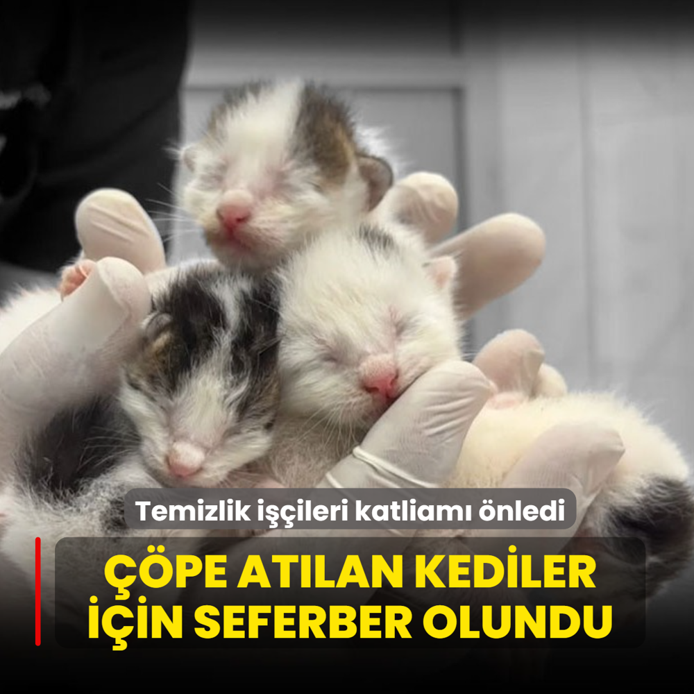 Temizlik i��ileri katliam� �nledi: ��p konteynerinden gelen sesler mucizeyi getirdi