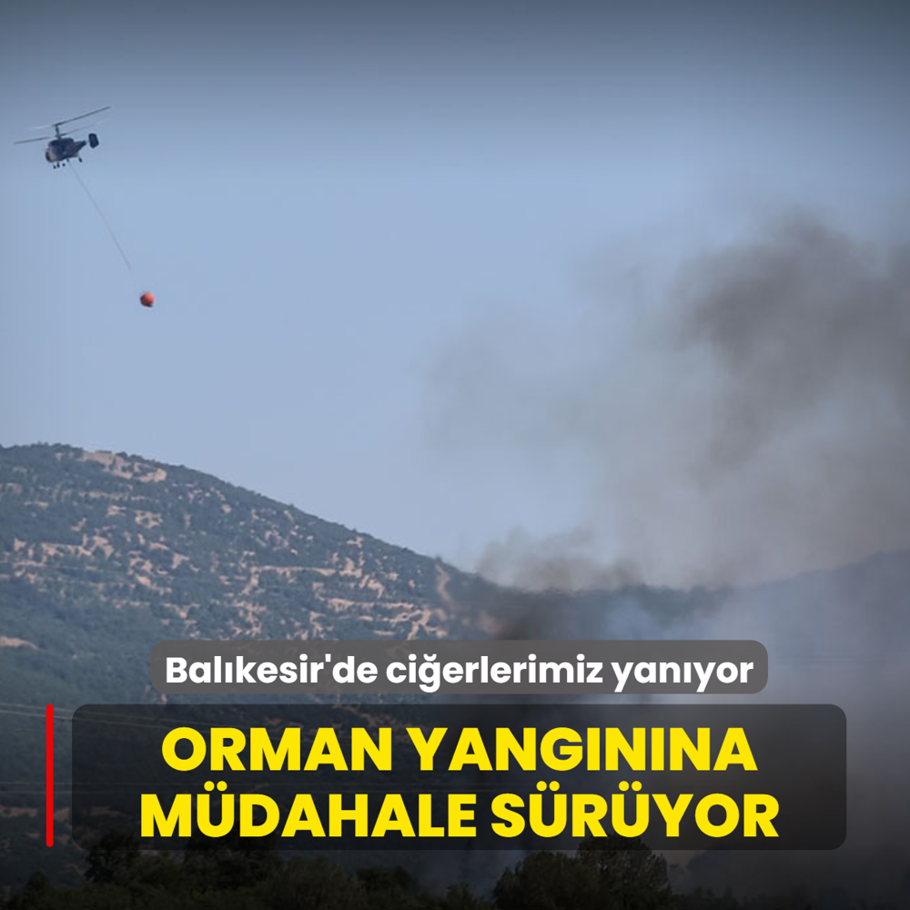 Bal�kesir'de ci�erlerimiz yan�yor! Orman yang�n�na m�dahale s�r�yor