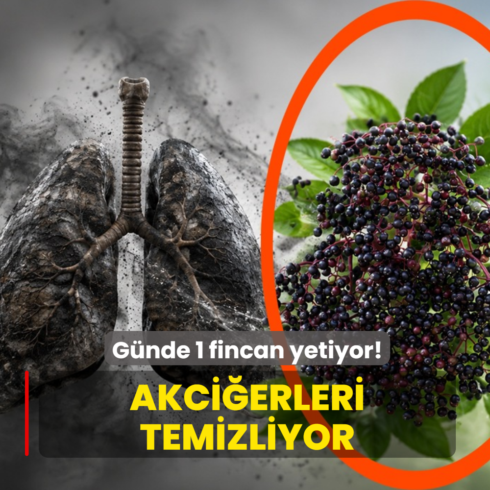 Akci�erlerde r�ntgen gibi temizlik! G�nde 1 fincan yetiyor: En g��l� antioksidan deposu meyve