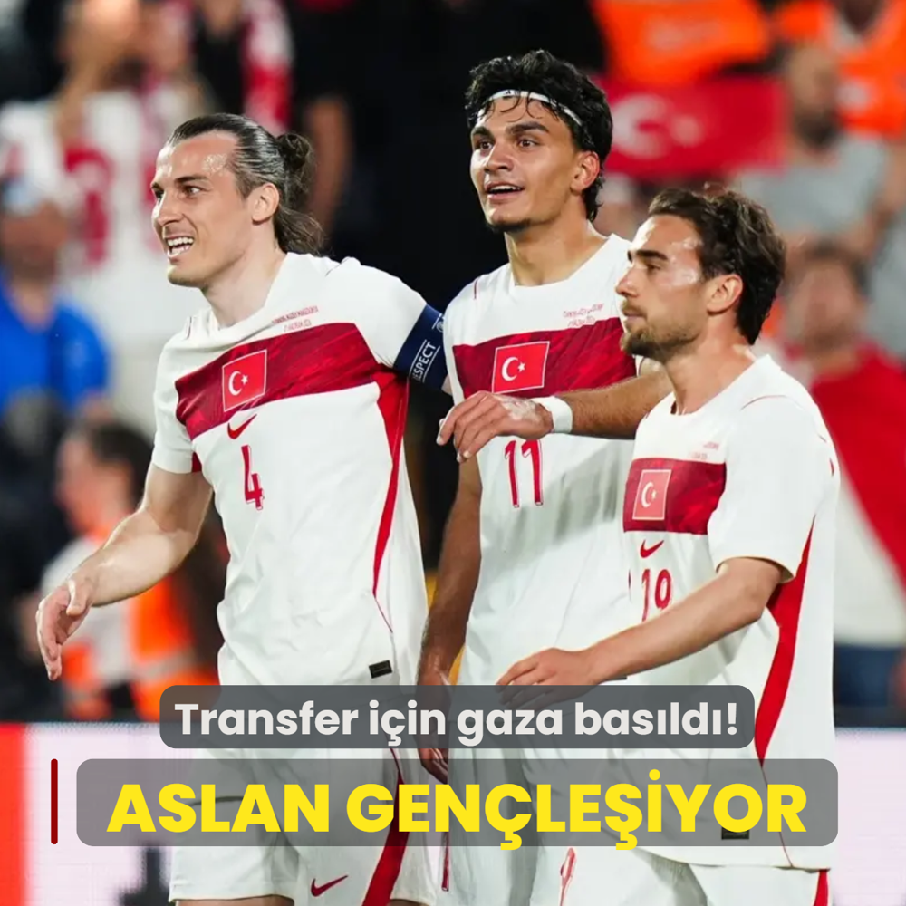 Aslan gen�le�iyor