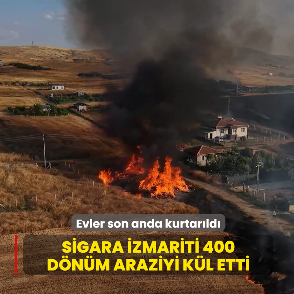 Sigara izmariti 400 d�n�m araziyi k�l etti: Evler son anda kurtar�ld�