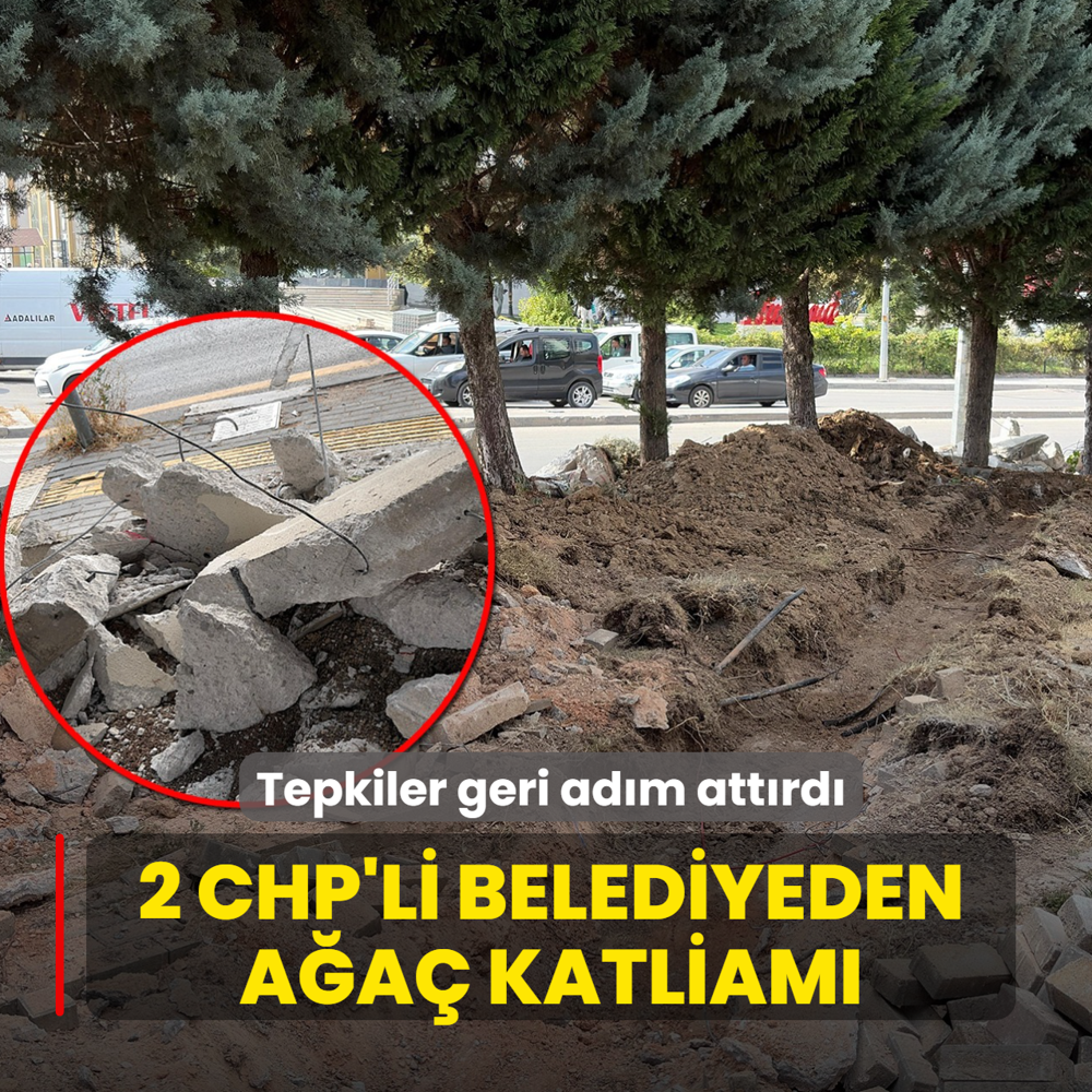 2 CHP