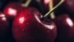 Uykuya ge�iren yaz meyvesi: Melatonin deposu