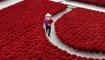 Vietnam'da zaman�n durdu�u yer: Bambunun k�rm�z�ya d�n��t��� k�y