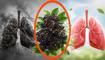 Akci�erlerde r�ntgen gibi temizlik! G�nde 1 fincan yetiyor: En g��l� antioksidan deposu meyve