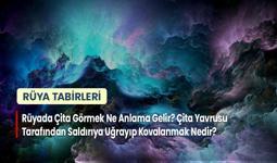 Rüyada Çita Görmek Ne Anlama Gelir? Çita Yavrusu Tarafından Saldırıya Uğrayıp Kovalanmak Nedir?