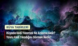 Rüyada Kedi Yıkamak Ne Anlama Gelir? Yavru Kedi Yıkadığını Görmek Nedir?