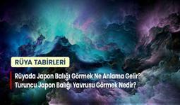 Rüyada Japon Balığı Görmek Ne Anlama Gelir? Turuncu Japon Balığı Yavrusu Görmek Nedir?