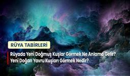 Rüyada Yeni Doğmuş Kuşlar Görmek Ne Anlama Gelir? Yeni Doğan Yavru Kuşları Görmek Nedir?