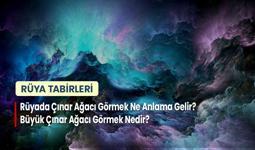 Rüyada Çınar Ağacı Görmek Ne Anlama Gelir? Büyük Çınar Ağacı Görmek Nedir?
