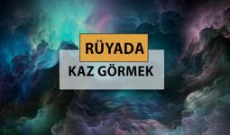 Rüyada kaz görmek ne anlama gelir, ne demek? Rüyada kaz görmek neye delalettir?