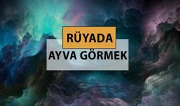 Rüyada ayva görmek ne anlama gelir, ne demek? Rüyada ayva görmek neye delalettir?