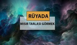 Rüyada mısır tarlası görmek ne anlama gelir, ne demek? Rüyada mısır tarlası görmek neye delalettir?