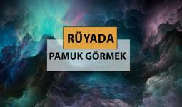 Rüyada pamuk görmek ne anlama gelir, ne demek? Rüyada pamuk görmek neye delalettir?