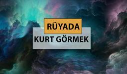 Rüyada kurt görmek ne anlama gelir, ne demek? Rüyada kurt görmek neye delalettir?