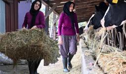 Devletten destek aldı, 5 yılda kendi çiftliğini kurdu! Şimdi 80 hayvanı var