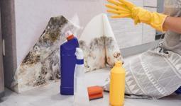 Evde küfü önlemek için 5 basit yöntem