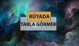 Rüyada tarla görmek ne anlama gelir, ne demek? Rüyada tarla görmek neye delalettir?