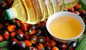 Bakanl�k harekete ge�ti: Palm ya�� i�in yeni karar