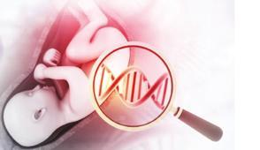 T�p bebekte devlet deste�i art�yor