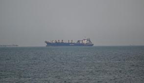 ABD'den H�rm�z i�in koalisyon haz�rl���