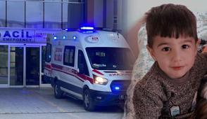 K�pek deh�etinde fla� geli�me: Belediye personeli g�zalt�na al�nd�