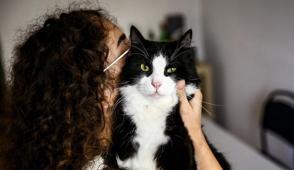 Ekranlar art�k onlar i�in a��l�yor! Kedi ve k�pek videolar� milyonlar� buldu