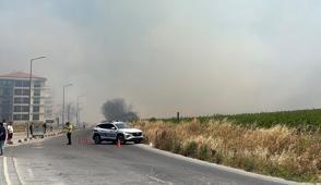 Silivri'de k�rsal alanda yang�n