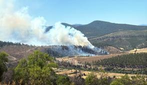 Bursa'dan alevler y�kseldi! Havadan ve karadan m�dahale ediliyor