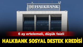 Halkbank 6 ay ertelemeli dk faizli pandemi kredisi artlar nelerdir? Sosyal destek kredisi nasl alnr? 