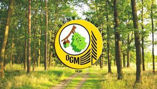 İŞKUR OGM kura sonuçları nereden ve nasıl öğrenilecek? OGM kura sonuçları 2021 açıklandı mı, ne zaman açıklanacak? 
