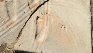 Assos'ta bebee ait 1300 yllk ayak izleri bulundu