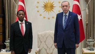 Başkan Erdoğan, Tanzanya Büyükelçisi Mohamed'i kabul etti