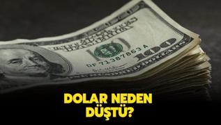 Dolar tekrar ykselir mi? Dolar neden dt?