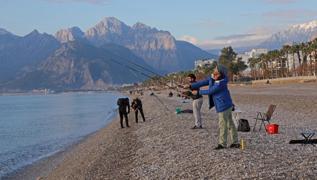 Türk sahillerinin istilacı türü: Balon balığı... Antalya'da özel yarışma düzenlendi