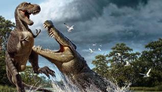 Bilim dünyasını şaşırtan araştırma: Timsahın midesinden dinozor çıktı!