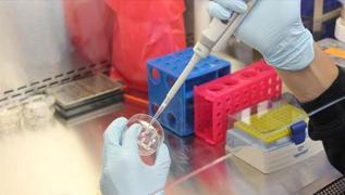 Trkiye PCR test kiti retiminde Dnya sralamasnda ilk 3'te yer alyor