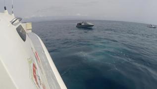 Balıkesir'de Yunanistan'ın kara sularımıza ittiği göçmenler kurtarıldı