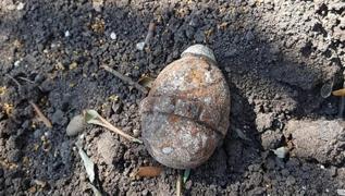 Balıkesir'de içi boş el bombası gövdeleri bulundu