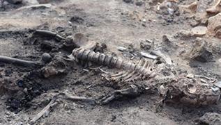 Arkeologlar artan  bin 700 yllk keif! ki erkek iskeletinde artan detaylar kt