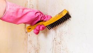 Oysa zm bu kadar basitmi: Duvardaki ya lekesini temizlemenin kolay yntemi!
